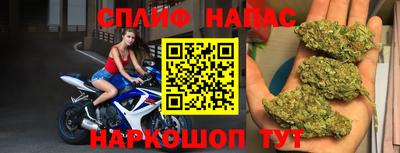 гидра Павлово