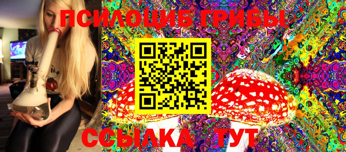 Медногорск  Псилоцибиновые грибы MAGIC MUSHROOMS  Вход с VPN 