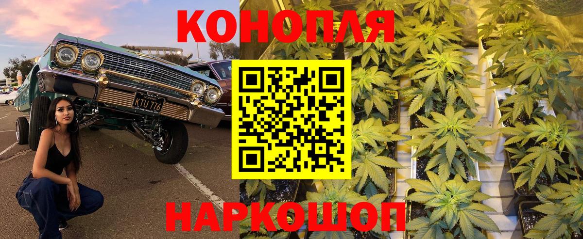 Бошки марихуана конопля Медногорск